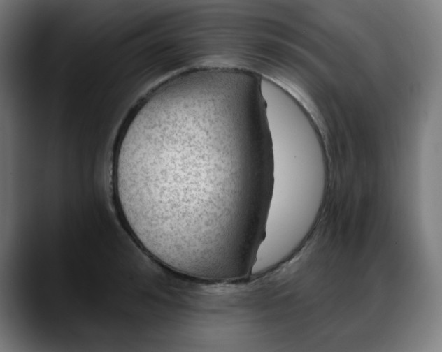 X0000088060992200705251339