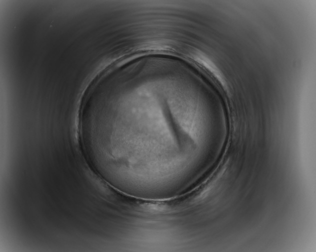 X0000088060994200705251339