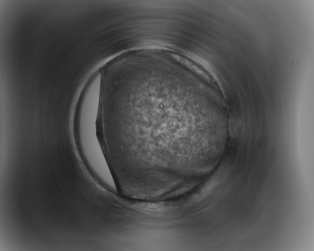 X0000088060995200705251339