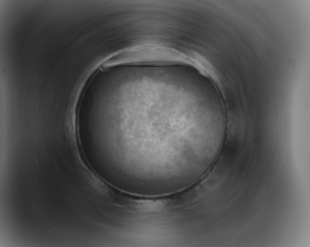 X0000088060996200705251339