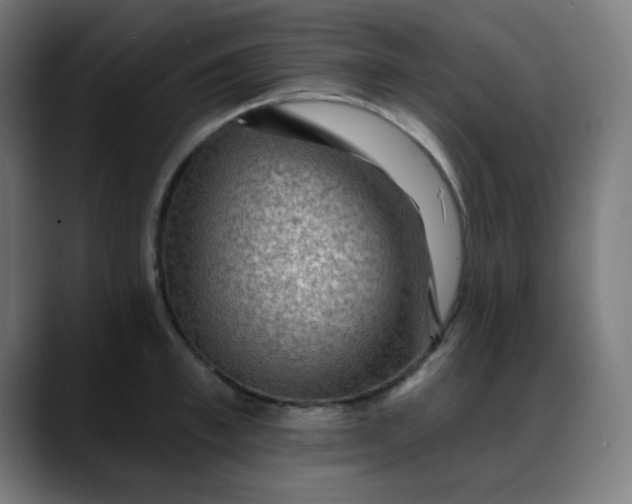 X0000088060997200705251339