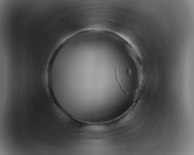 X0000088060998200705251339