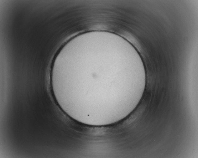 X0000088061000200705251339