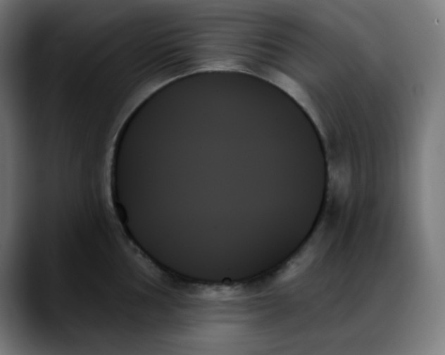 X0000088061002200705251339