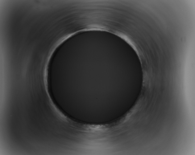 X0000088061003200705251339
