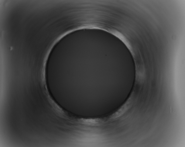 X0000088061004200705251339