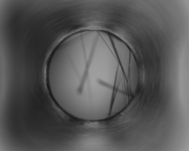 X0000088061006200705251338