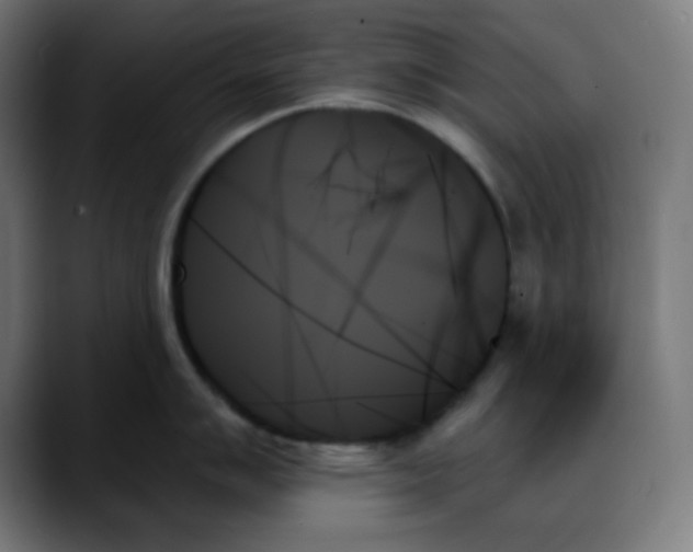 X0000088061007200705251338