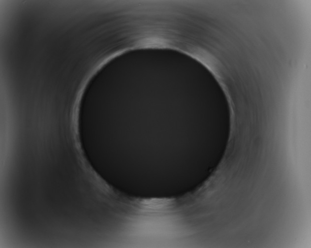 X0000088061008200705251338