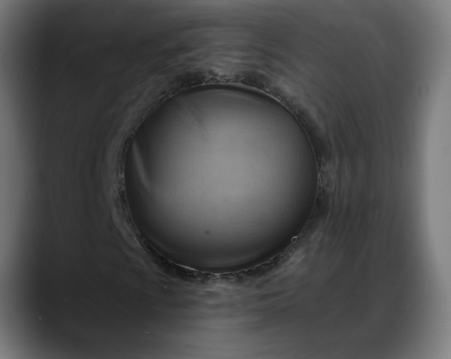 X0000088061009200705251338