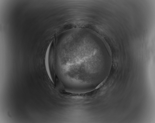 X0000088061010200705251338