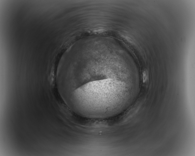 X0000088061011200705251338