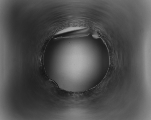 X0000088061013200705251338