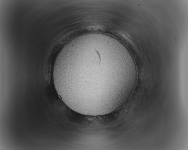 X0000088061015200705251338