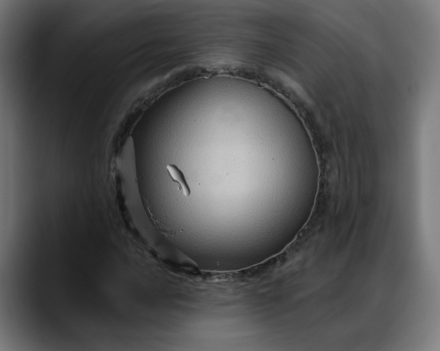 X0000088061016200705251338