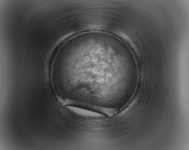 X0000088061019200705251338