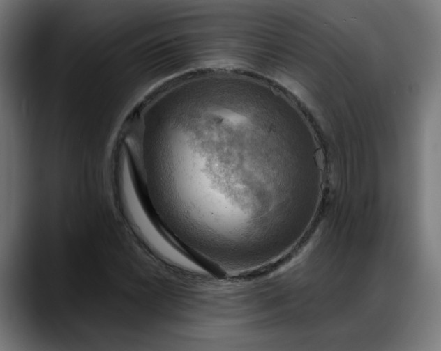 X0000088061022200705251338