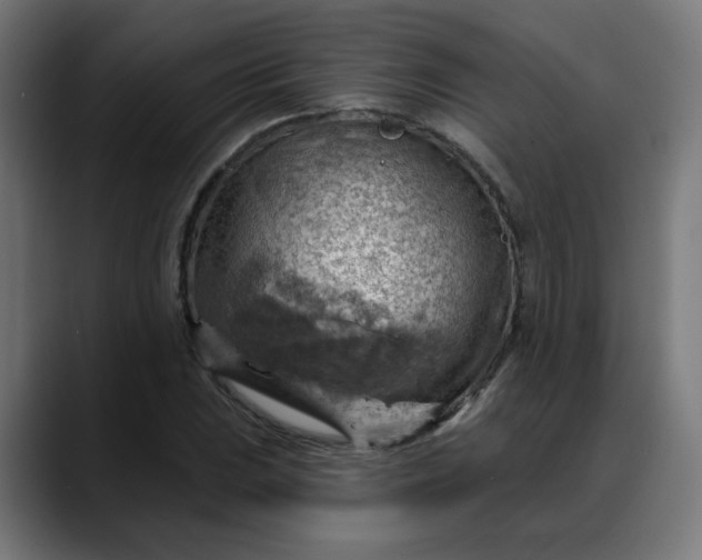 X0000088061023200705251338