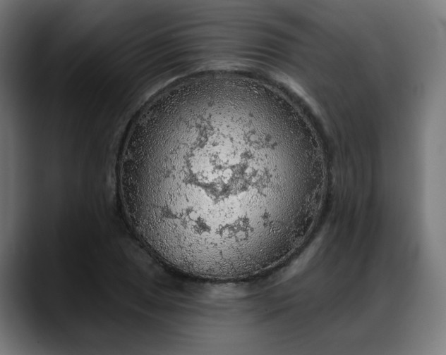 X0000088061025200705251338