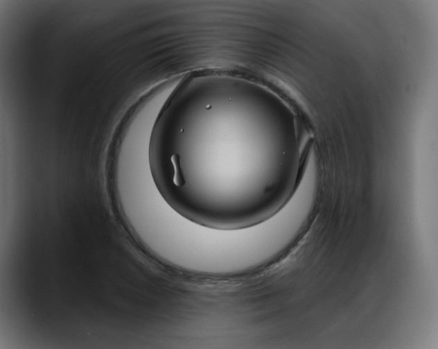 X0000088061026200705251338