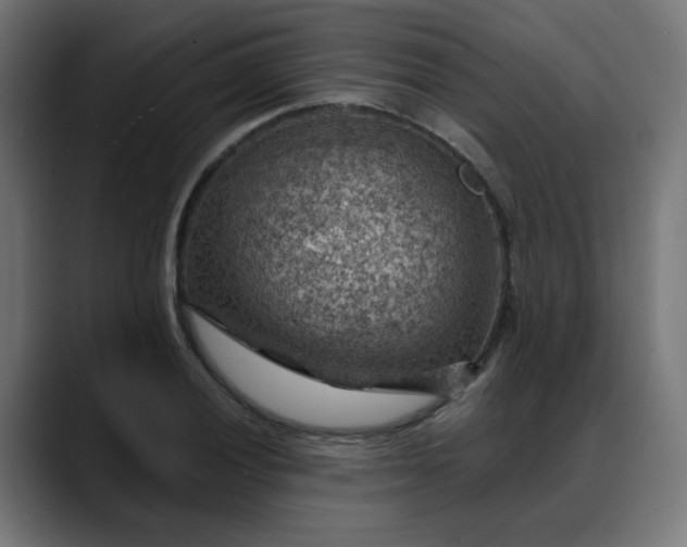 X0000088061028200705251338