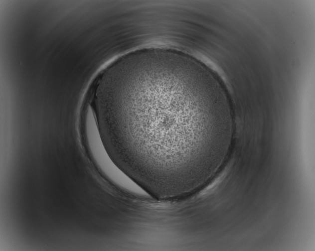 X0000088061029200705251338