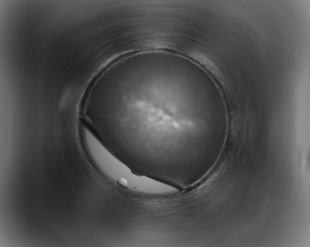 X0000088061031200705251338