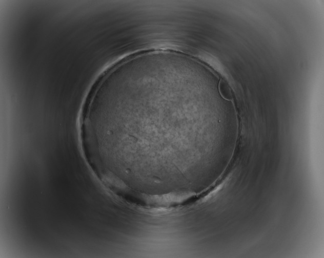 X0000088061032200705251338
