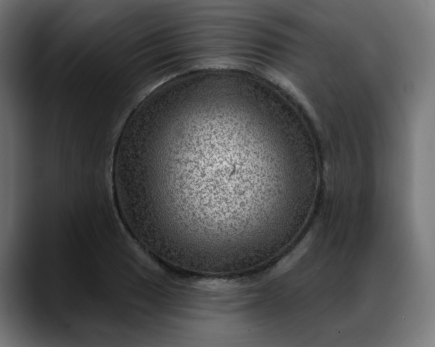 X0000088061033200705251338