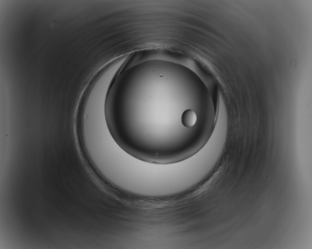 X0000088061034200705251338