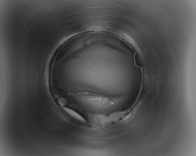 X0000088061035200705251338