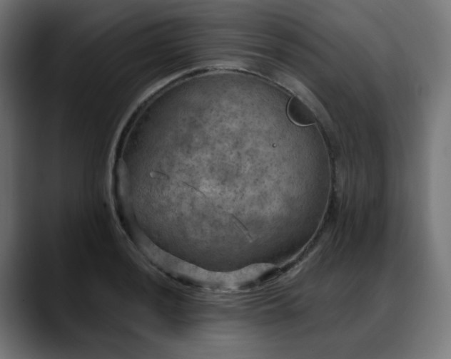 X0000088061036200705251338