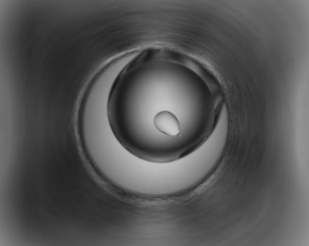 X0000088061038200705251338