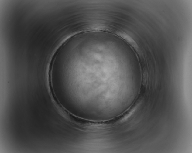 X0000088061039200705251338