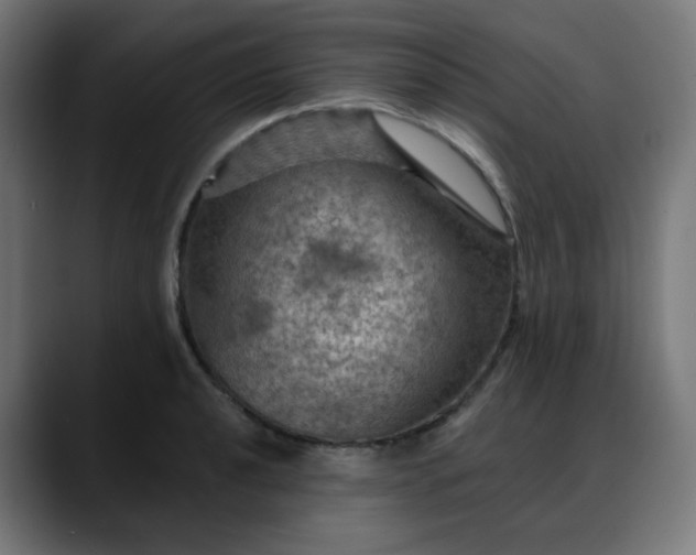 X0000088061040200705251338