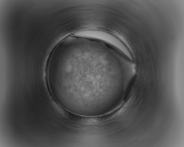X0000088061042200705251338