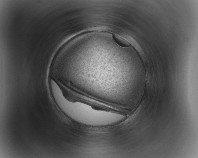X0000088061044200705251338