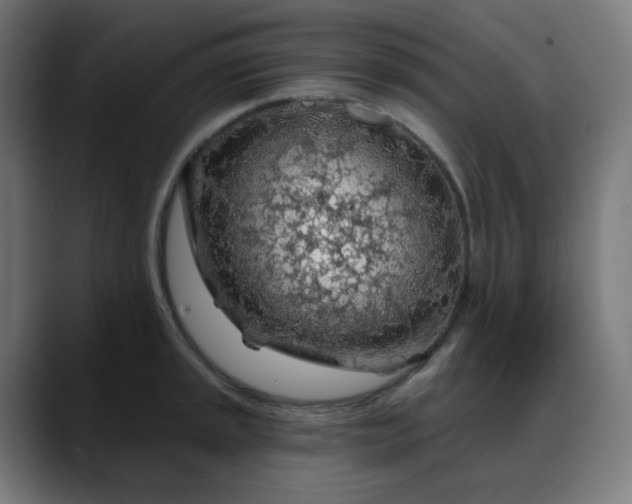 X0000088061045200705251338