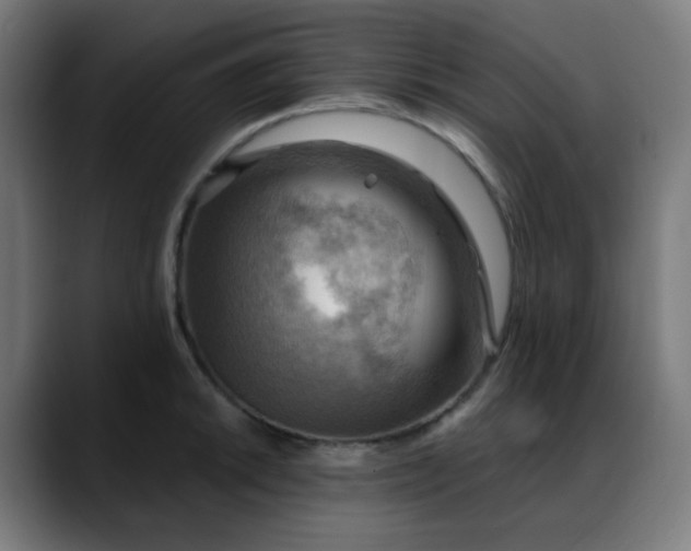X0000088061046200705251338