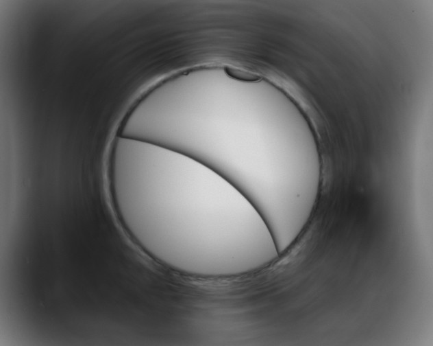 X0000088061048200705251338