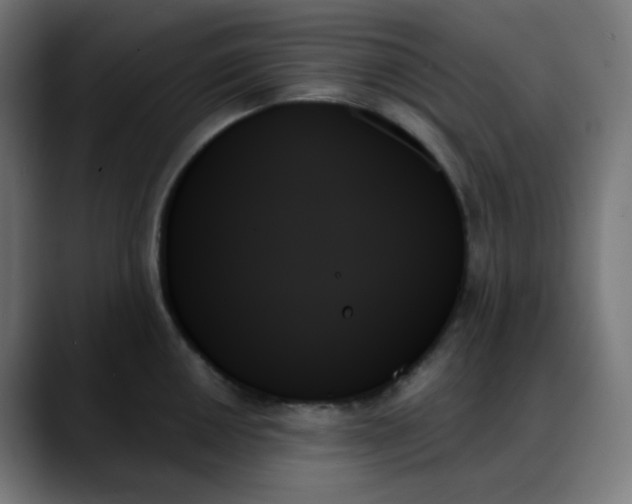 X0000088061050200705251338