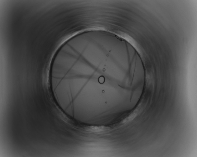 X0000088061052200705251338