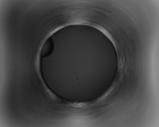 X0000088061053200705251338