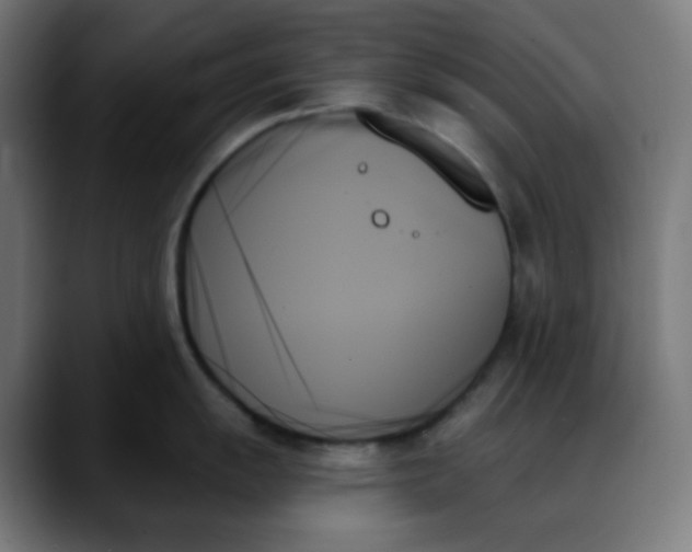 X0000088061055200705251338