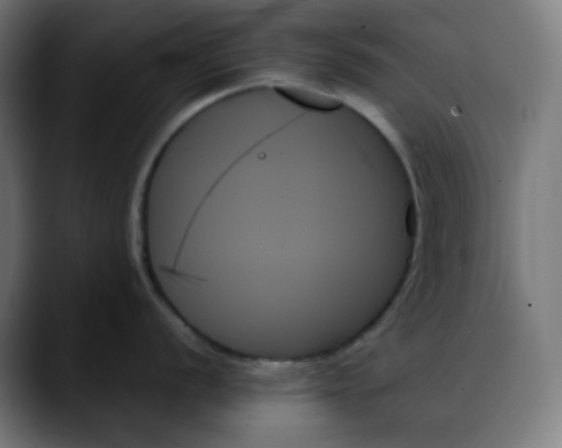 X0000088061056200705251338