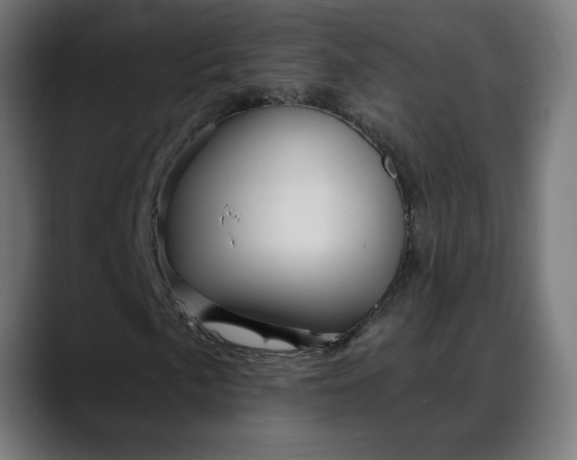 X0000088061057200705251338