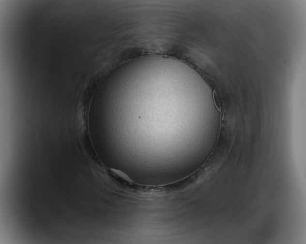X0000088061058200705251338