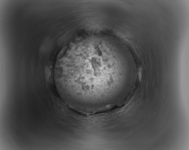 X0000088061059200705251338