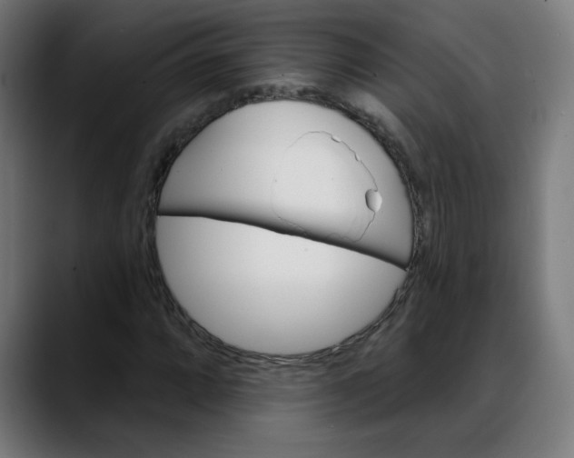 X0000088061064200705251338