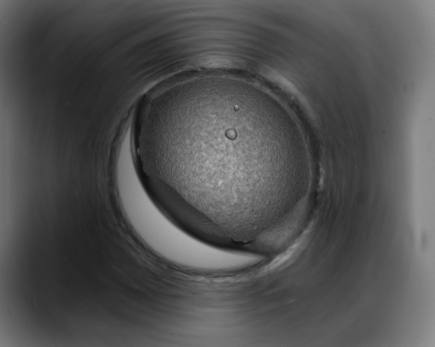 X0000088061065200705251338